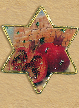 Pomegranate star of David 